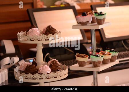 Muffins und Pudding mit Kakao, Vanille und Kiwi-Creme. Süßigkeitenbar Stockfoto