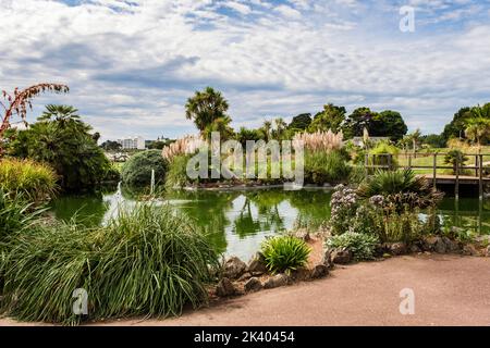 Ein Teich in Abbey Gardens in der Nähe der Strandpromenade. Torquay, Devon, England, Großbritannien Stockfoto