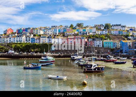 Farbenfrohe Häuser mit Blick auf den inneren Hafen. Brixham, Devon, England, Großbritannien Stockfoto