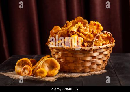 Frische Pfifferlinge, die im Wald, in einem Weidenkorb und auf einem hölzernen Hintergrund gesammelt wurden. Stockfoto