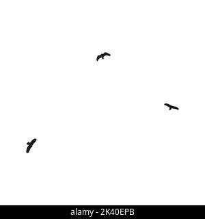 Eine handgezeichnete Schar fliegender Vögel. Einfarbige Vogelschhouetten. Stock Vektor