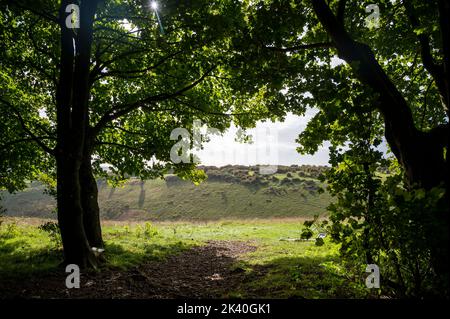 Blick über die Devils Dyke Road Railway auf dem South Downs Way nördlich von Brighton Sussex UK Foto aufgenommen von Simon Dack Stockfoto