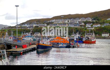 Ein Blick auf kommerzielle Fischerboote und das RNLI Lifeboat, das an der Westküste Schottlands im Hafen und Hafen von Mallaig, Morar, festgemacht ist. Schottland, Großbritannien. Stockfoto