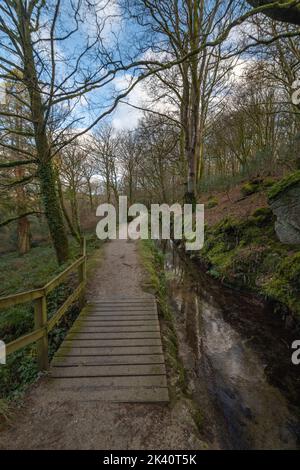 Wanderweg entlang eines Waldgebietes mit einem kleinen Bach daneben Stockfoto