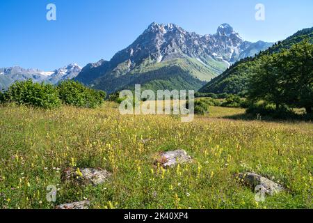 Ushba Berg (4710m hoch) in Upper Svaneti, Georgia Stockfoto