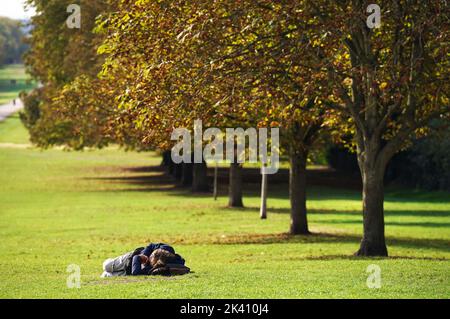 Ein Besucher des Windsor Great Park ruht auf dem Gras auf dem langen Spaziergang in der Nähe von Windsor Castle. Bilddatum: Donnerstag, 29. September 2022. Stockfoto