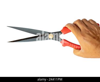 Rote Baumschere, die isoliert auf weißem Hintergrund in der Hand gehalten wird Stockfoto