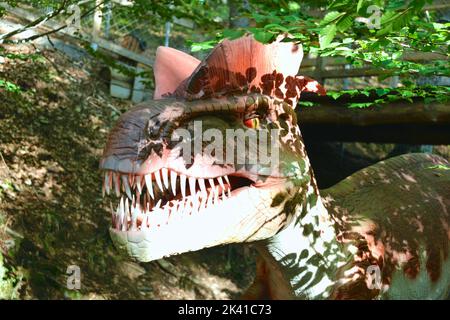 Modell eines Dinosauriers im Dino-Parc in Rosenau, Rumänien Stockfoto