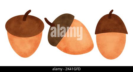Acorn Set Aquarell Stockfoto