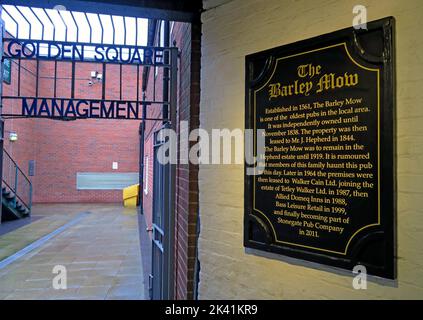 Golden Square Management Offices, hinter dem Barley Mow Pub, Old Marketplace, Warrington, Cheshire, England, UK, WA1 1QB Stockfoto