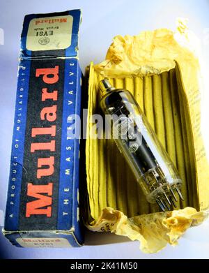 Mullard EY81 Vakuum-Sperrventil-Diode und Kartonverpackung von 1965 Stockfoto