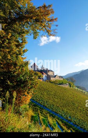 Schloss Eberstein mit Weinberg in der Nähe von Obertsrot (Teil von Gernsbach) im nördlichen Schwarzwald, Bezirk Rastatt, Baden-Württemberg, Deutschland Stockfoto