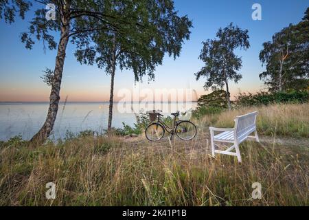 Weiße Holzbank und Fahrrad unter silbernen Birken mit Blick auf das Meer in der Abenddämmerung, Munkerup, Seeland, Dänemark, Europa Stockfoto