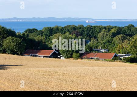 Blick über Weizenfeld und Sommerhäuser in Munkerup zur Küste Schwedens in der Ferne, Munkerup, Seeland, Dänemark Stockfoto