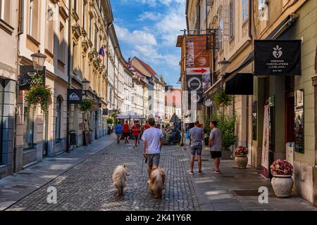 Ljubljana, Slowenien, Menschen in der Mestni trg-Straße in der Altstadt, im historischen Stadtzentrum. Stockfoto