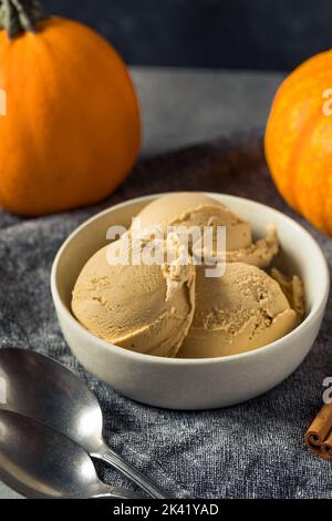 Hausgemachte Kürbis-Gewürz-Eiscreme in einer Schüssel Stockfoto