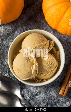 Hausgemachte Kürbis-Gewürz-Eiscreme in einer Schüssel Stockfoto
