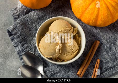 Hausgemachte Kürbis-Gewürz-Eiscreme in einer Schüssel Stockfoto