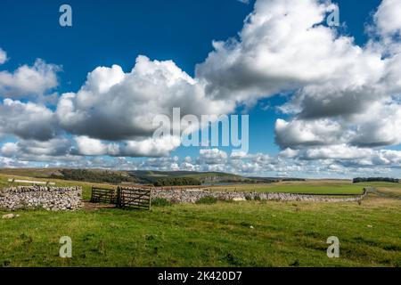 Atemberaubende Aussicht auf Malham Moor Blick auf Malham Tarn durch ein offenes Tor mit blauem Himmel und Sonnenschein, Yorkshire Dales National Park, England, Großbritannien Stockfoto