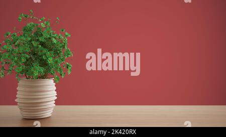 Hölzerne Tischplatte oder Regal mit Keramik Vase mit grünen Gänseblümchen, Wildblumen, Ornament, Wiese, Gras, Stillleben, Zweig in Vase, roter Hintergrund mit Stockfoto