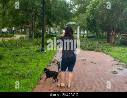 Winter Haven, Florida, USA. 29. September 2022. 29. September 2022, Winter Haven, Florida: Eine Frau versucht, ihre Hunde in der Innenstadt von Winter Haven zu laufen, nachdem der Hort Ian über Nacht in die Gemeinde geschlagen wurde. (Bild: © Dominic Gwinn/ZUMA Press Wire) Stockfoto