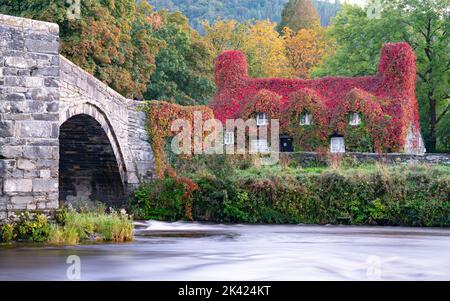 TU Hwnt I'r Afon Tea Rooms, neben dem River Conwy und der Llanrwst Bridge. Bild aufgenommen im September 2022. Stockfoto