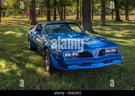 FLINT, MI/USA - 22. JUNI 2019: Ein 1978 Pontiac Firebird Trans am Auto, Sloan Museum Auto Fair Car Show, Crossroads Village, in der Nähe von Flint, Michigan. Stockfoto