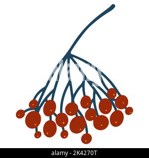 Handgezeichnete Eberesche in Cartoon flach kindisch Stil. Vektor-Illustration von roten Beeren isoliert auf weißem Hintergrund für Babykleidung, Textil und Produkt Stock Vektor