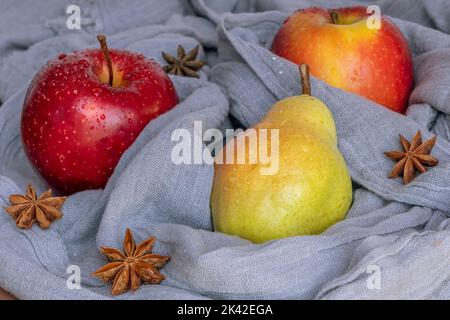 Eine Birne und zwei rote Äpfel, die mit Wassertropfen benetzt sind, sind in einen grauen Schal mit Sternanisgestein gewickelt Stockfoto