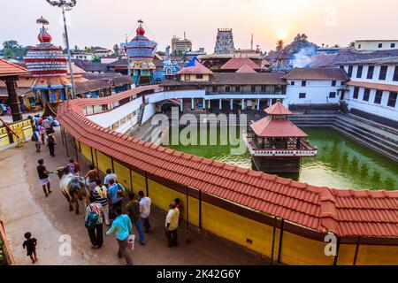 Udupi, Karnataka, Indien : Menschen gehen eine heilige Kuh bei Sonnenuntergang um den Madhva Sarovara Wasserbehälter neben dem 13. Jahrhundert Krishna Tempel gegründet b Stockfoto