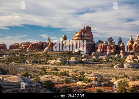 Gestreifte Cedar Mesa Sandsteinformationen im Doll House Bereich des Maze District von Canyonlands National Park, Utah. Stockfoto