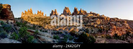 Cedar Mesa Sandsteinformationen am oberen Ende des Doll House Trail im Maze District, Canyonlands National Park, Utah. Stockfoto