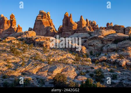 Cedar Mesa Sandsteinformationen am oberen Ende des Doll House Trail im Maze District, Canyonlands National Park, Utah. Stockfoto