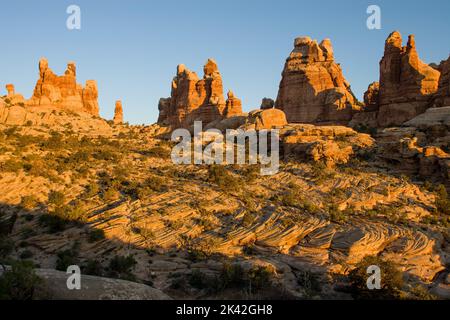 Cedar Mesa Sandsteinformationen am oberen Ende des Doll House Trail im Maze District, Canyonlands National Park, Utah. Stockfoto