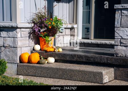 Farbenfrohe Kürbisse, Kürbisse und Mütter schaffen ein luxuriöses halloween- und Danksagungen-Landschaftsbild. Stockfoto