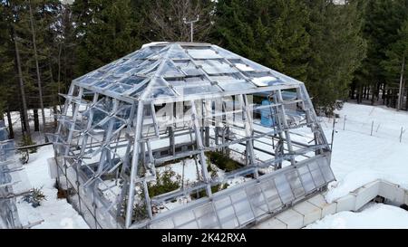 Gewächshaus Schnee Winter Frost oben offene Kammern Klimawandel Wissenschaft Forschung Bily Kriz, Pflanze Fichte Picea abies Norwegen Europäischer Berg Stockfoto