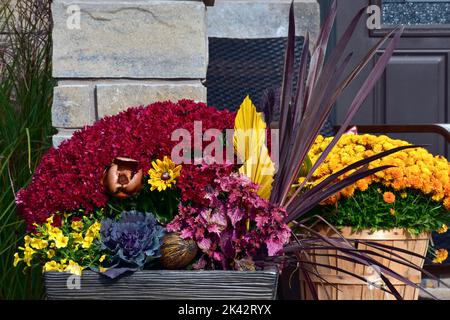 Eine bunte Anzeige von Danksagenden Erntezeit Container Garten. Stockfoto