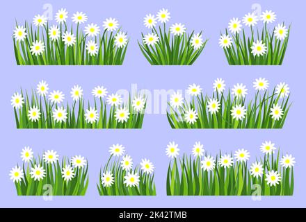 Grünes Gras Blüte weiße Blume natürliche Bio Rasen flach Banner-Set. Kamille Sommer Kräuterwiese. Gänseblümchen blühender frischer Busch. Verschiedene Form Frühling Kräuterrasen. Grün hinterlässt eine Cartoon-Landschaft Stock Vektor