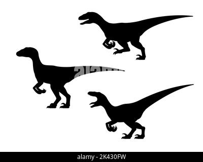 Velociraptor Dinosaurier Silhouette Set. Vektor-Illustration Gruppe schwarze Silhouette Dinosaurier Velociraptor isoliert auf weißem Hintergrund. Seitenansicht. Stock Vektor