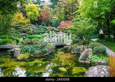 Erstaunlicher japanischer Garten in Würzburg - Frühherbst, Brücken und japanischer Ahorn und Teich und malerische Felsen (große Steine) und Steinlaterne Stockfoto