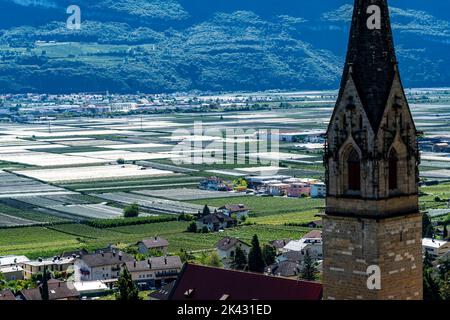 Apfelanbaugebiet und Weinanbau, im Etschtal, Südtirol, große Anbauflächen, in Südtirol über 18.400 Hektar, bewirtschaftet Stockfoto