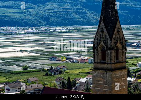 Apfelanbaugebiet und Weinanbau, im Etschtal, Südtirol, große Anbauflächen, in Südtirol über 18.400 Hektar, bewirtschaftet Stockfoto