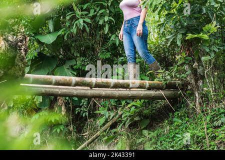 Mädchen wandern. Überqueren einen Bach über eine kleine Brücke aus riesigen Bambus. Wandern durch die schönen kolumbianischen Berge auf der Suche nach Abenteuer. Stockfoto