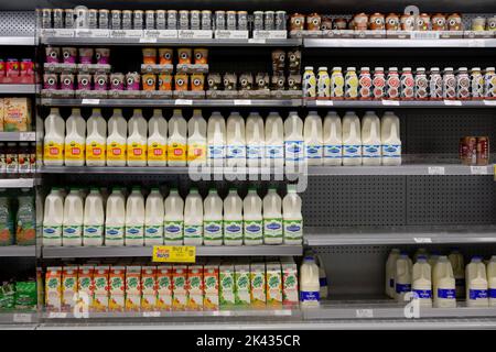 Home Schnäppchen Discounter Regale mit Milch und Getränken, Großbritannien Stockfoto