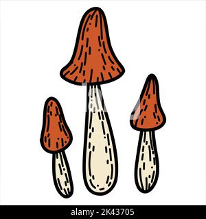 Pilz im handgezeichneten Doodle-Stil. Lineare Vektorgrafik Herbst Stock Vektor