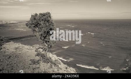 Caleta Valdes Landescape, Halbinsel Valdes chubut Provinz Patagonien Argentinien Stockfoto