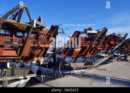 Termoli, Molise, Italien -08-29-2022- der alte Hafen mit Fischerbooten, die am Pier ankern. Stockfoto