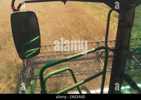 Kombinieren Sie die Perspektive des Erntepersonals während der Rapsernte. Seitenspiegel, Haspel und Plattformschnecke. Landwirtschaftliches Konzept. Hochwertige Fotos Stockfoto