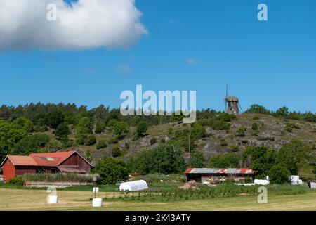 Schwedische Landschaft mit Ruine von hölzernen Windmühle und Bauernhof Stockfoto