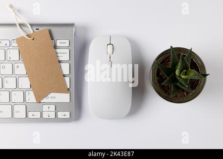 Zusammensetzung von Tastatur, Maus und Pflanze auf weißem Hintergrund Stockfoto